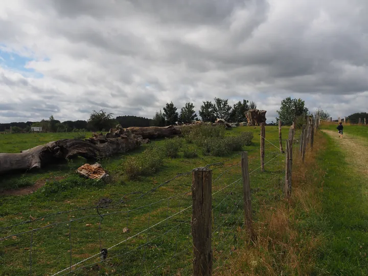 Ferme de la Planche (Blote voeten pad) (België)